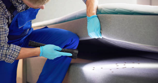 Best Affordable Pest Control Services  in Parshall, ND