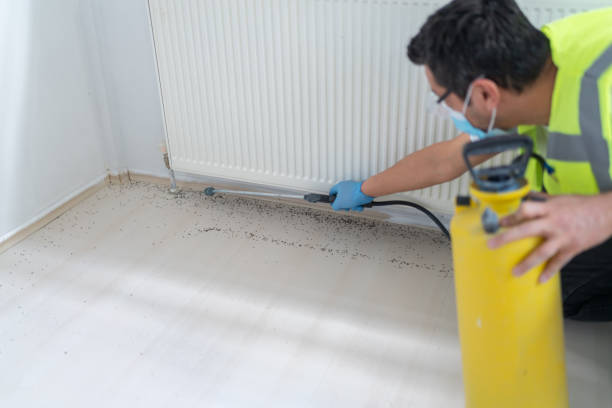 Best Pest Removal Services  in Parshall, ND